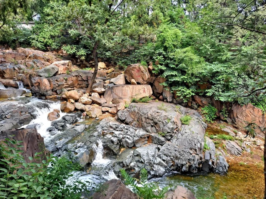 安排秋天的第一顿烧烤,秋天去泰山旅游需要什么
