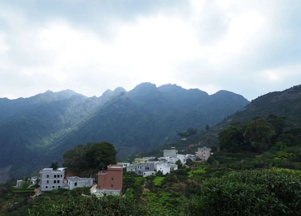 我被入坑了,也给各位科普一下吧