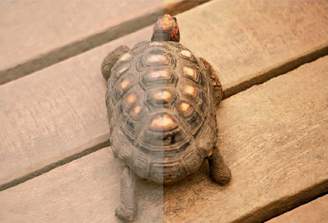 悟空带你看星星,悟空视觉表现