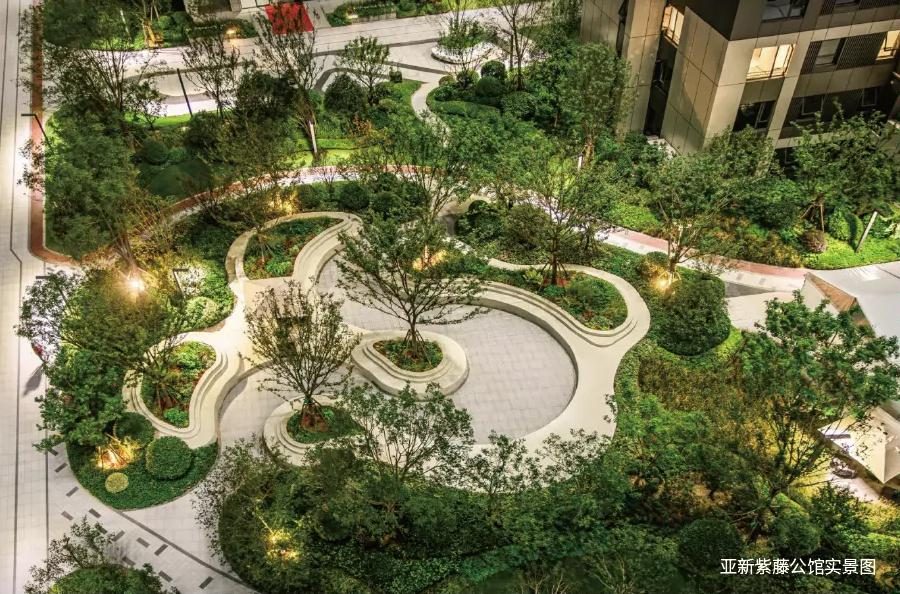 亚新紫藤公馆和海棠公馆,亚新紫藤公馆和亚新海棠公馆比较