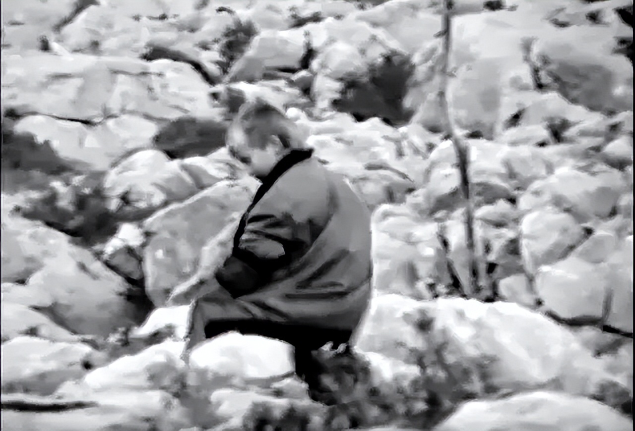 莫德里奇在克罗地亚人心中地位,莫德里奇心脏节拍