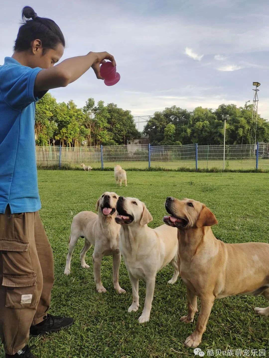 你踩过坑吗测试,你踩坑了吗金标贝壳头真假对比