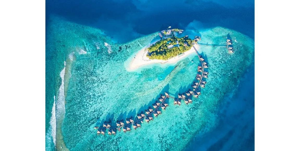 2022年春节出境游数据携程 (携程出境游最新消息)