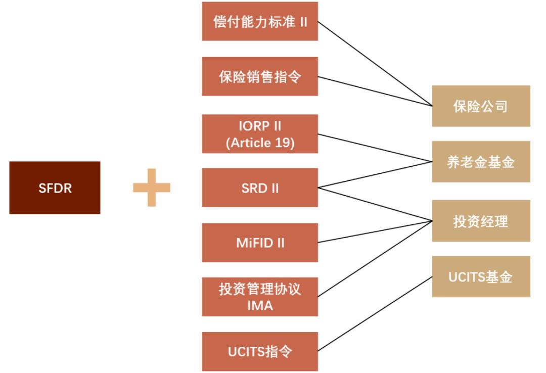 涓噾ibd缁勭粐璋冩暣,涓噾esg閮ㄩ棬