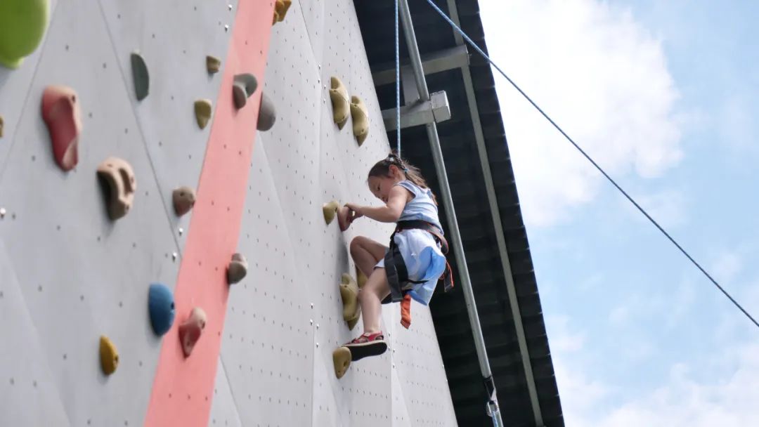 2018年小学一年级招生范围,师上学校小学部招生电话