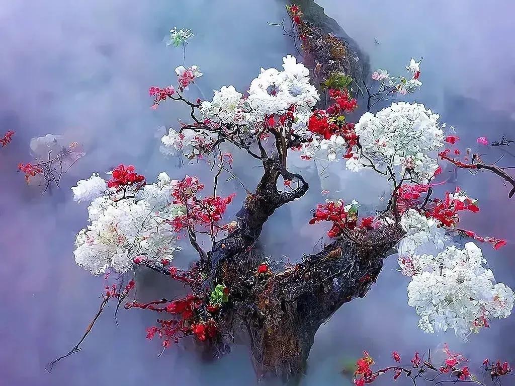 周易解读8,白话易经和易经有什么不同