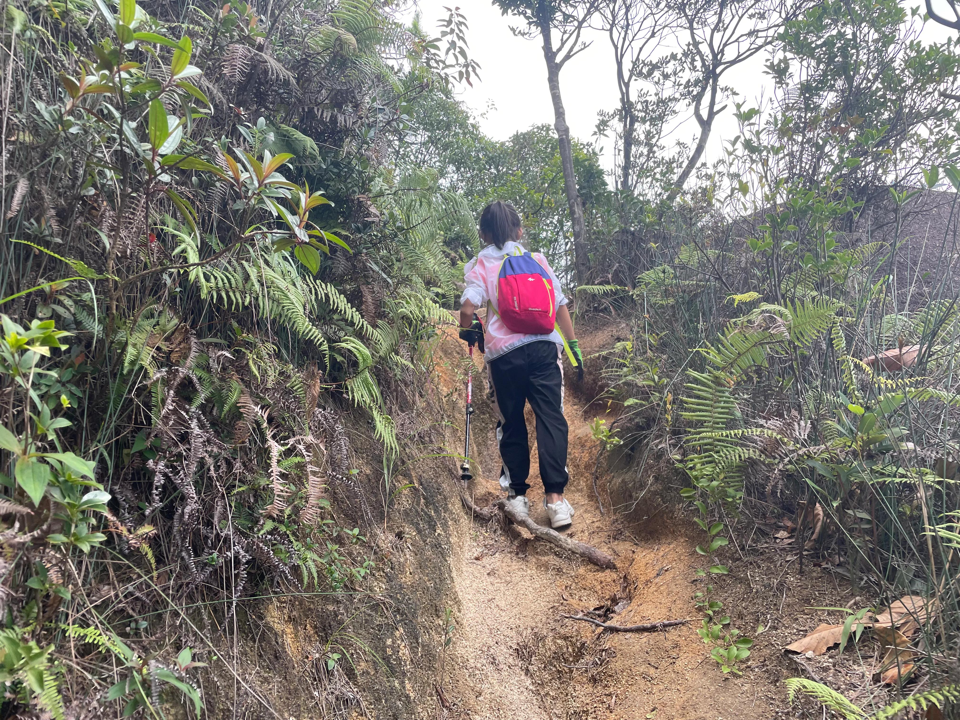 云霄乌山天池风景区旅游攻略,云霄乌山天池风景区怎么去