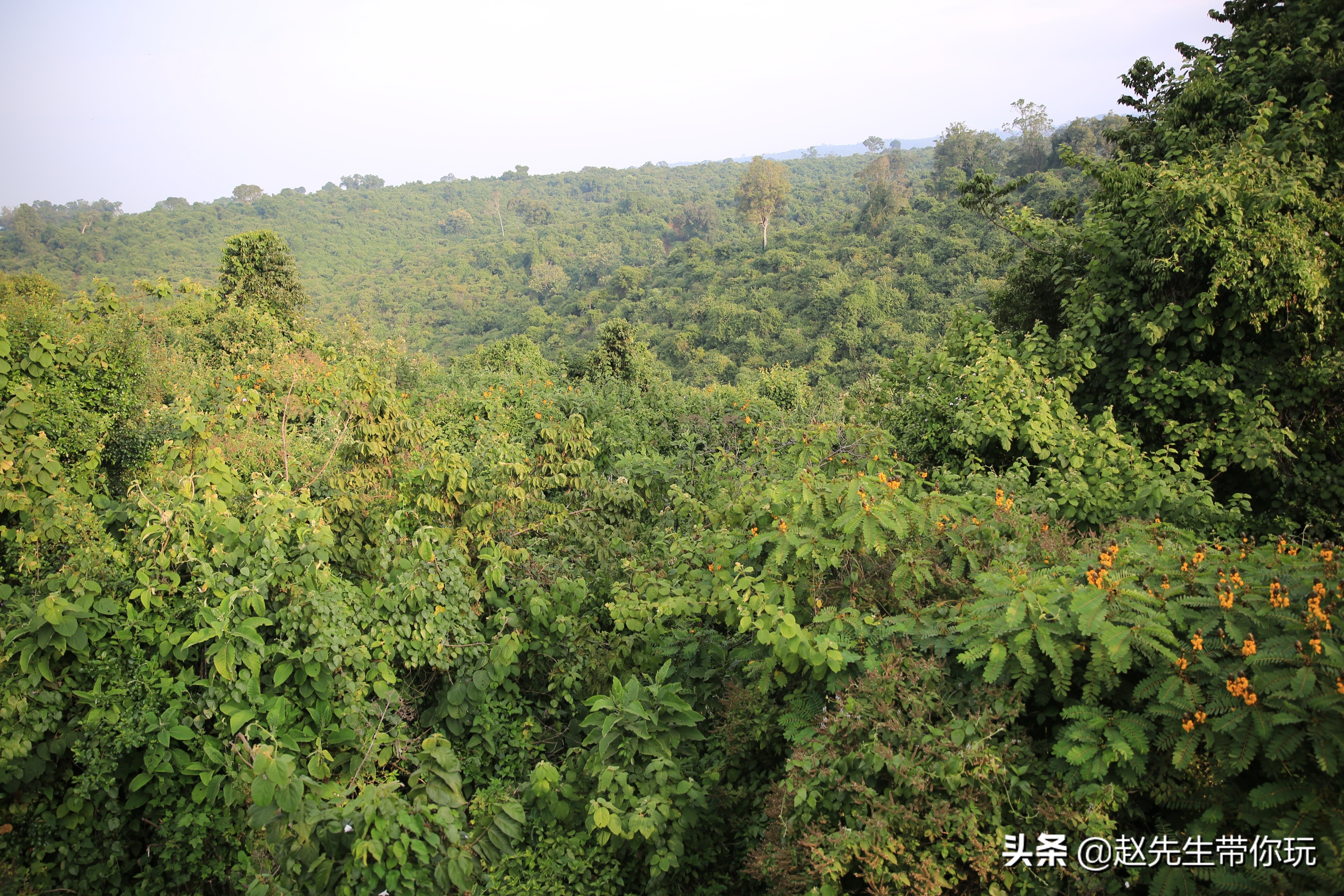 二十年游历分享之202:非洲19:肯尼亚18尼耶利的方舟酒店