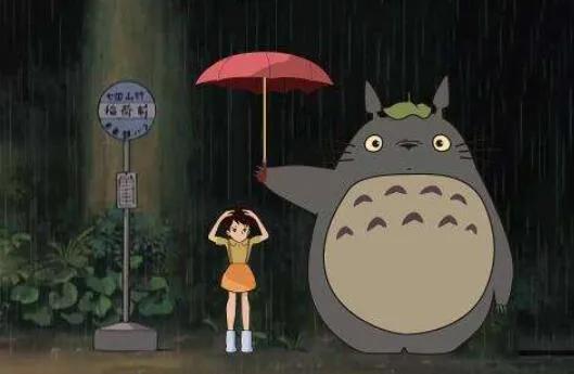 你以为的养龙猫vs实际上的养龙猫,龙猫究竟是不是猫豢养龙猫