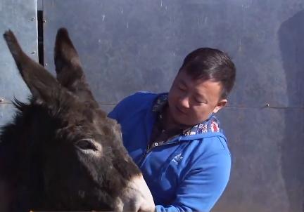 小伙三年养了4000头母驴，感情深厚一头也不卖，但一天还净赚4万