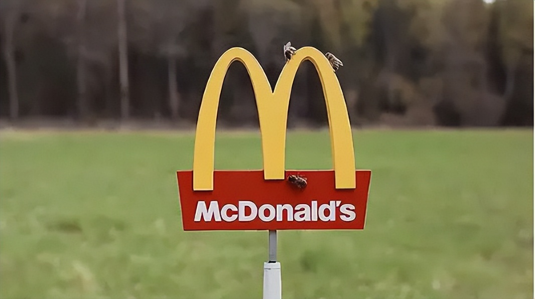 麦当劳麦麦咔滋鸡腿堡复刻,麦当劳麦麦咔滋脆两件套