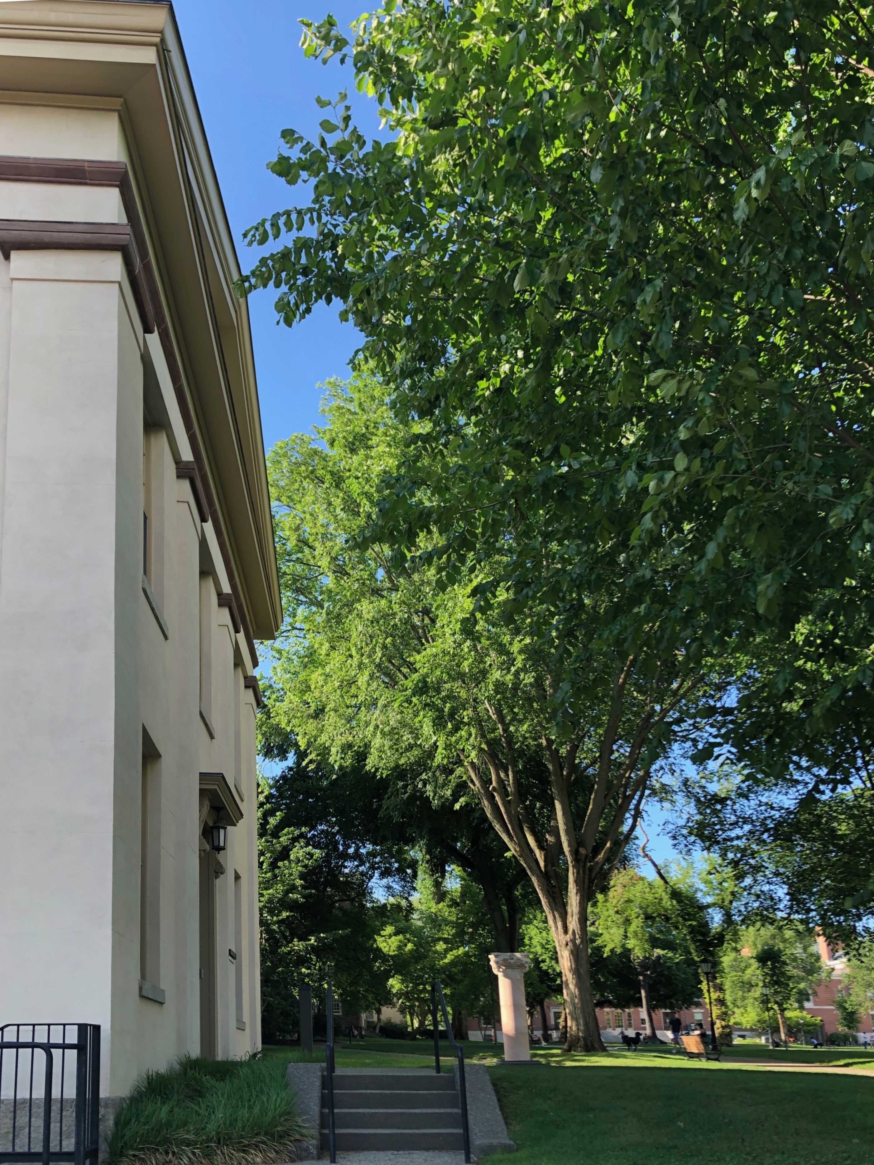 布朗大学罗德岛校区,美国罗德岛州布朗大学