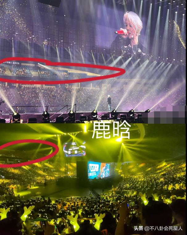 张韶涵现场完整版汪峰评价,张韶涵演唱会上座率合肥