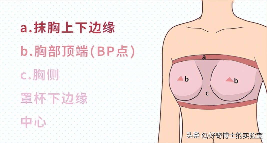 女生穿抹胸为啥不会往下掉？（男生禁入）