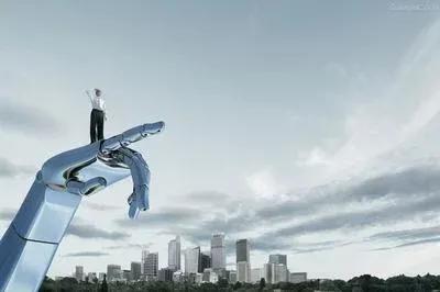 疫情放开后有什么行业,疫情放开后为什么生意更难