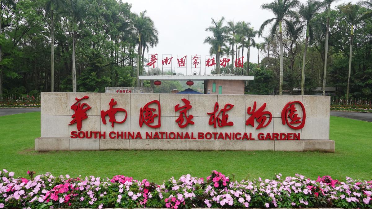 9块9玩转国家5a级景区,细数那些适合带孩子玩的免费景区