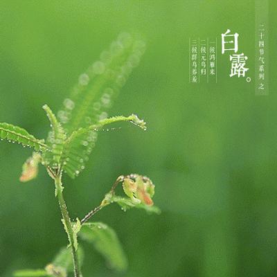 兔年最后一个节气,兔年日历节气