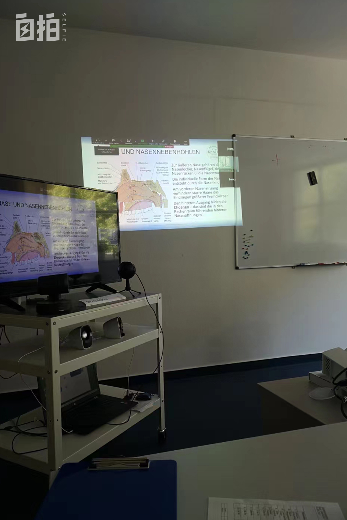 学德语在德国能找到工作吗,去德国做护士怎样学习德语