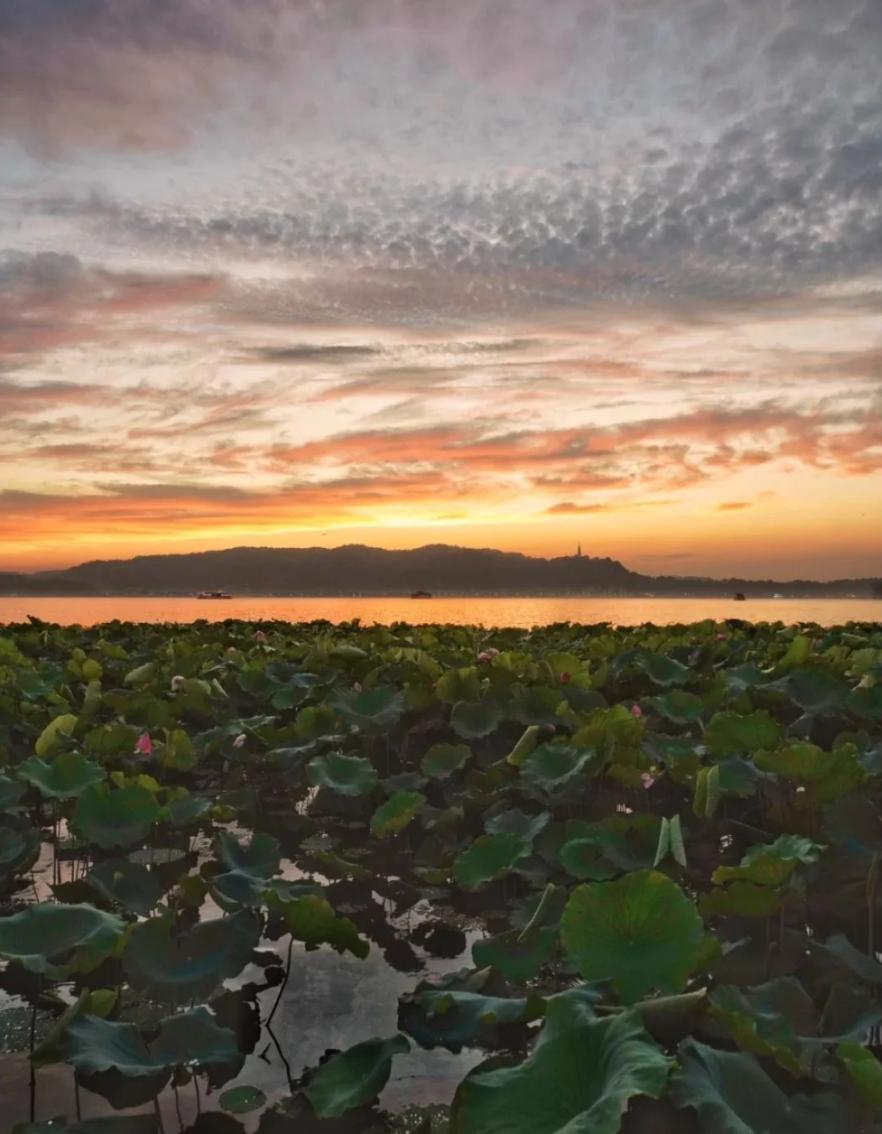 这还是你认识的合肥吗,这还是你认识的蜜雪冰城吗