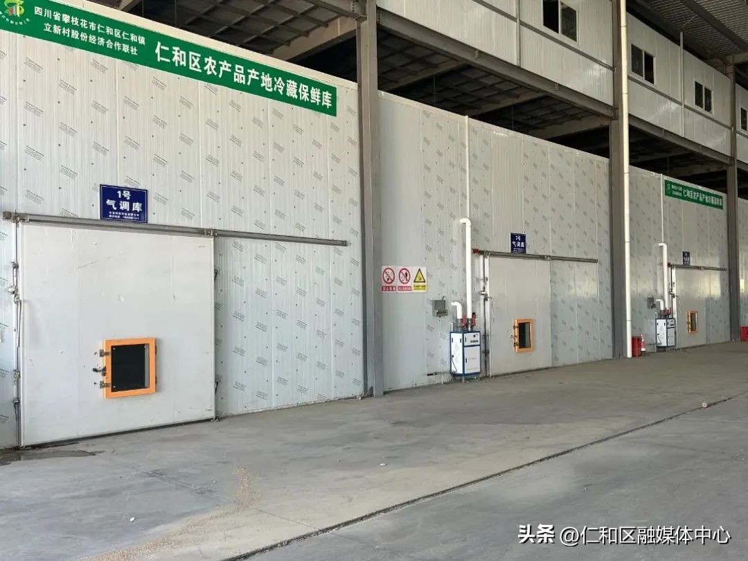 6—8℃可跨越冬夏！仁和“田间冰柜”冻出“三鲜”品质