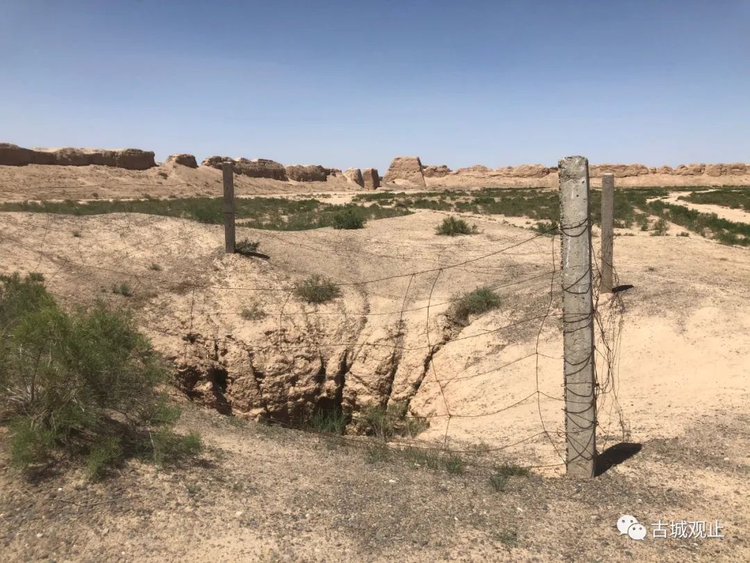 探访汉唐古城骆驼城遗址,骆驼城遗址的故事