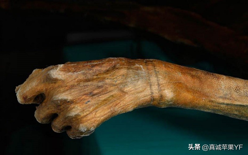 世界上最古老的纹身图片,最古老的纹身