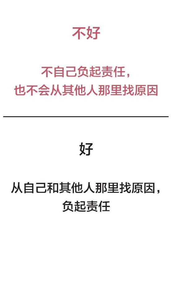 原则一书,沙雕动画