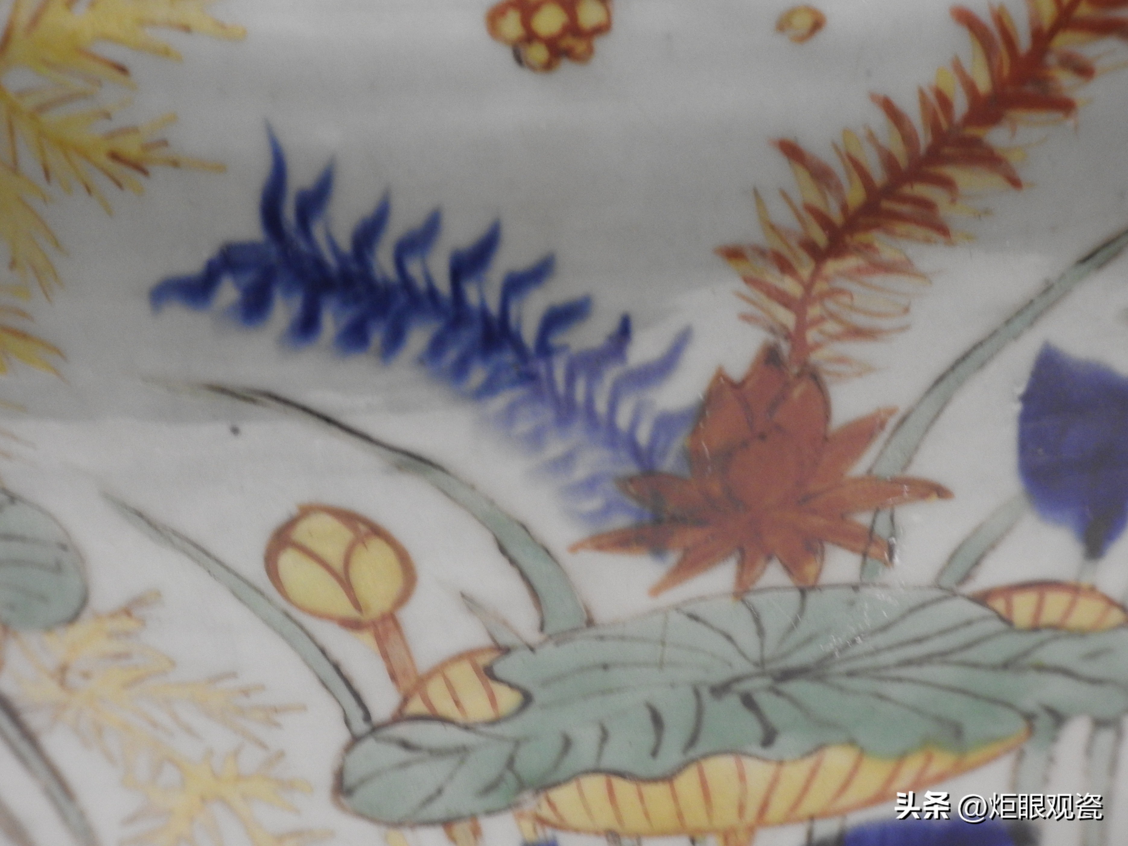 鱼乐其中——细观嘉靖五彩鱼藻纹罐的黄上红、翡翠绿、回石青