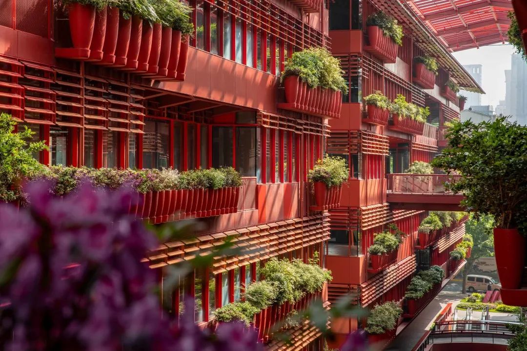 共甦文城·向阳而生|第八届CREDAWARD地产设计大奖·中国飨宴