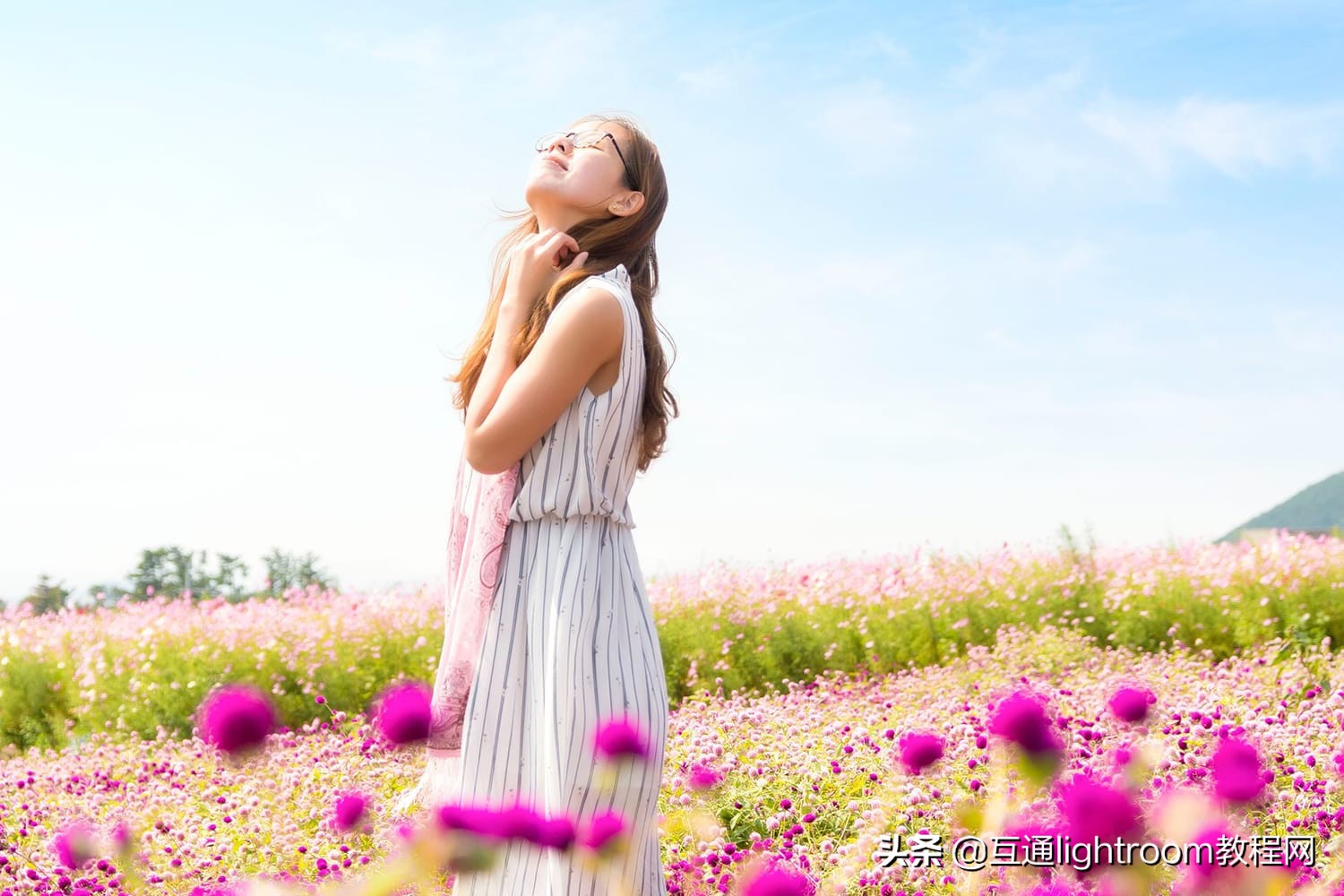 日光比较强烈怎么拍摄,强烈太阳光下如何拍照