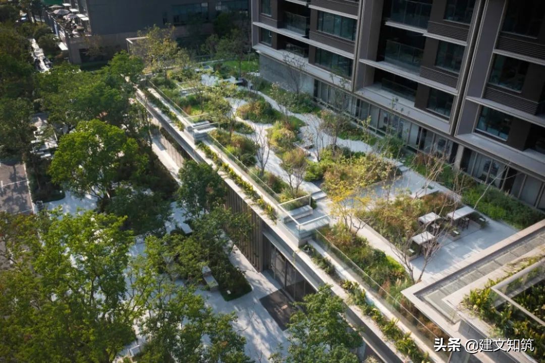 waf2023世锦赛,waf国内排名