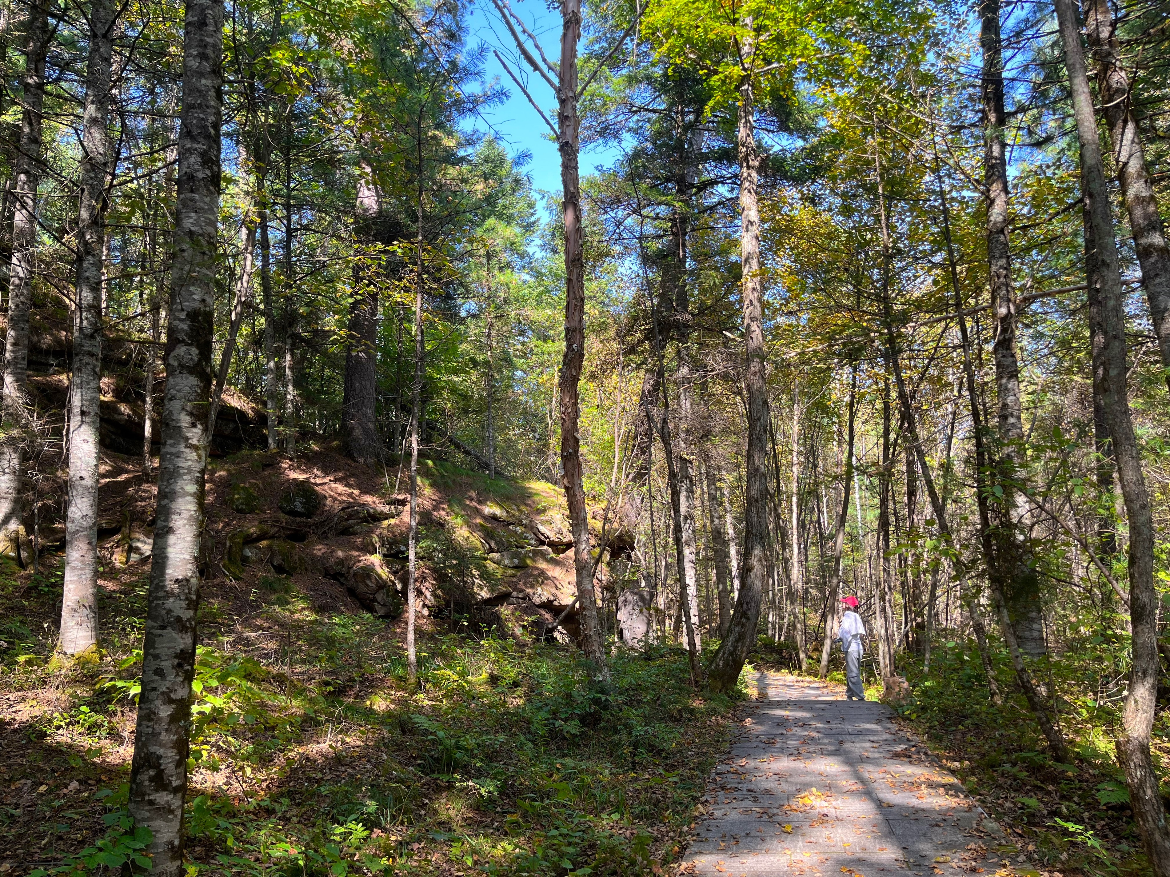 夫妻自驾11000公里,夫妻两人自驾游最新视频
