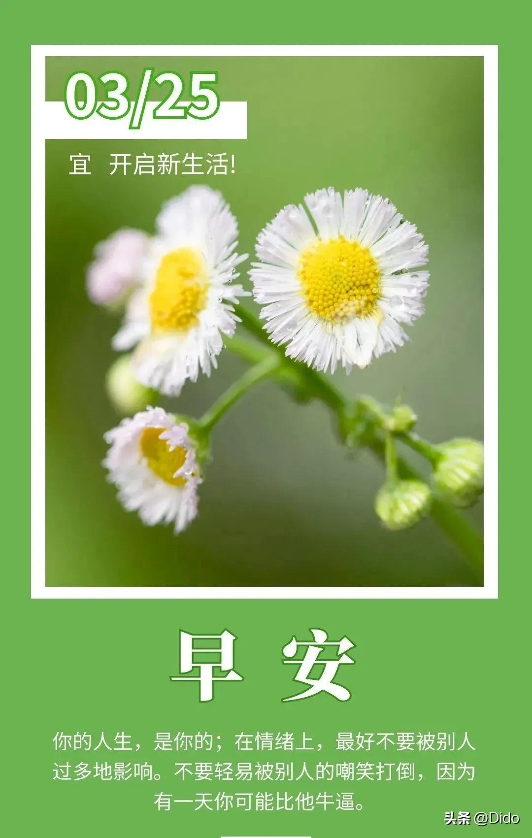 新的一天努力开心,愿你全力以赴的努力赚钱不留遗憾