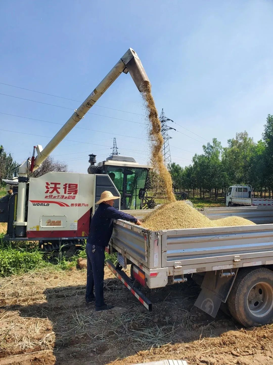 解锁乡村致富密码,想知道发财的秘密吗