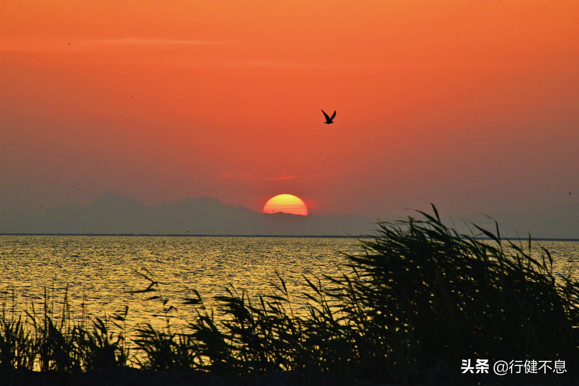 描写夕阳红的诗句经典,最美诗词有关夕阳红