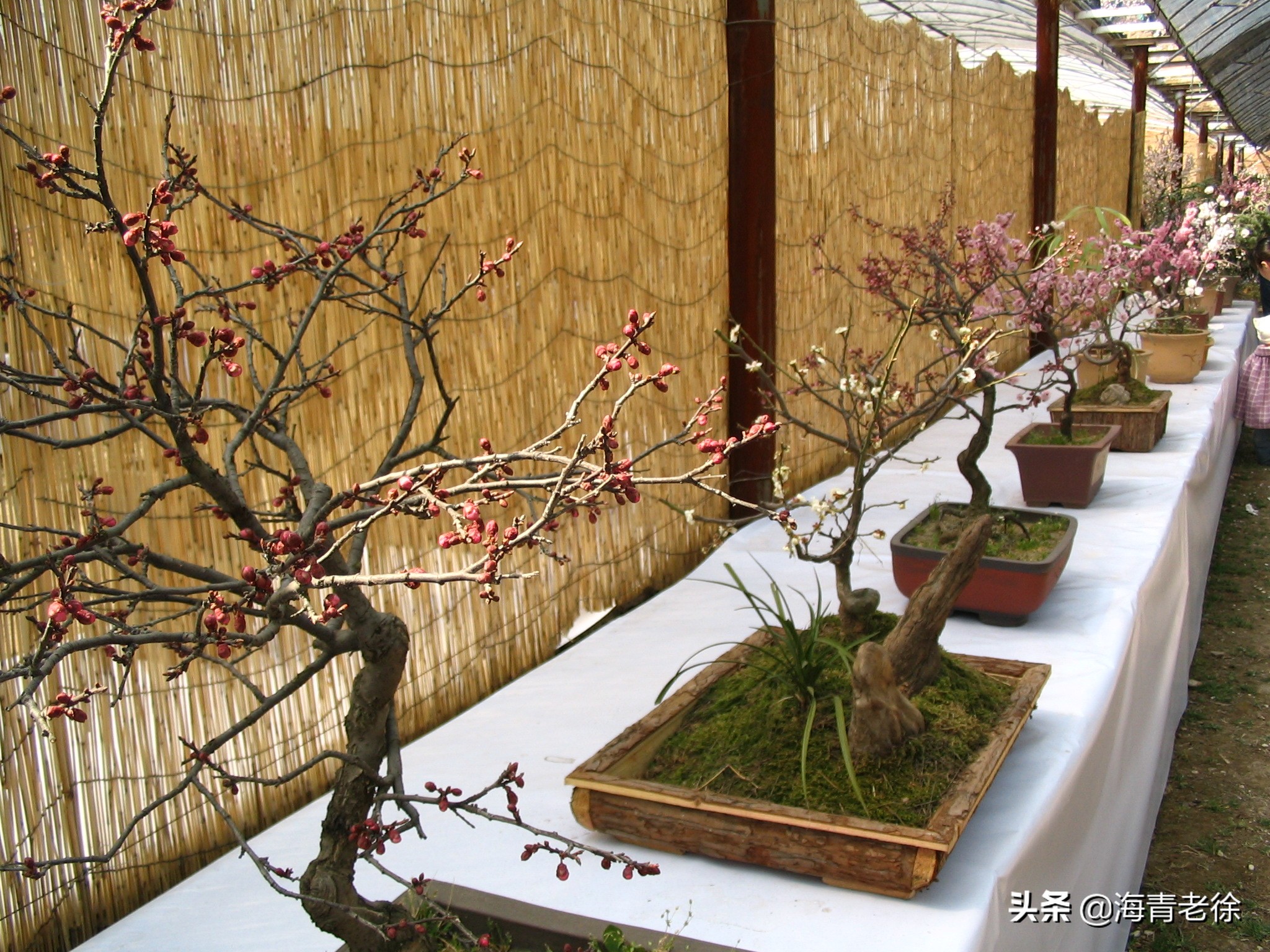 老徐新足迹,老徐自驾游视频