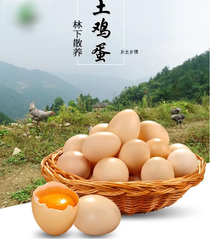 种植业什么最赚钱农村,农村种植创业成功的方法有哪些