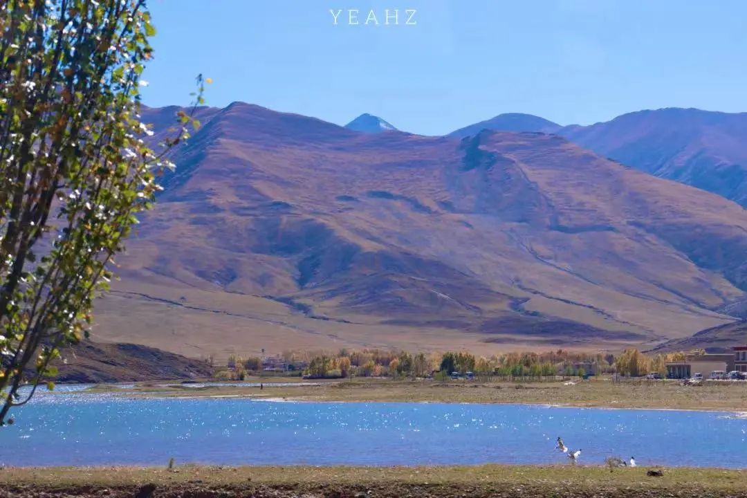 现在拉萨最火的地方,实话实说拉萨附近最值得玩的地方