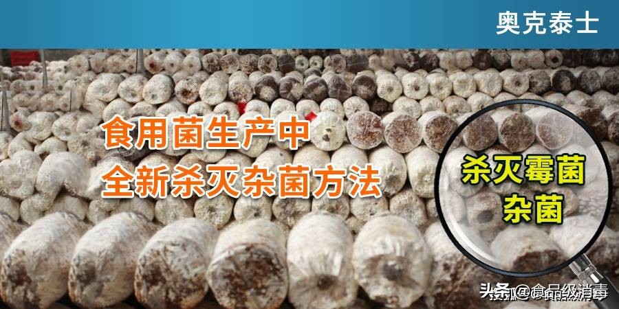 食用菌栽培怎么防杂菌,食用菌栽培有哪些问题