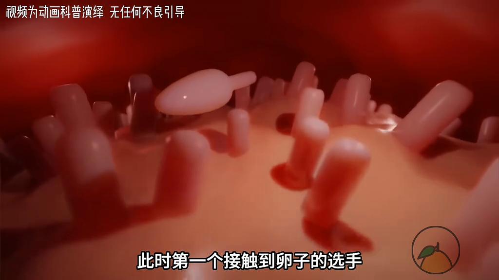 带你观看你人生中的第一场比赛是如何获胜的~#科普动画#...