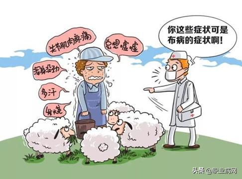 职业卫生科普,布鲁氏菌病属于职业病吗