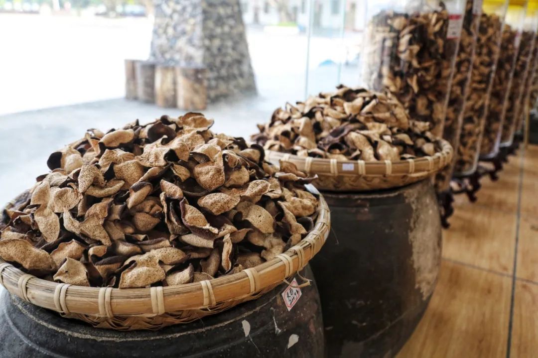 开年《狂飙》的江门，为什么传统且洋气？