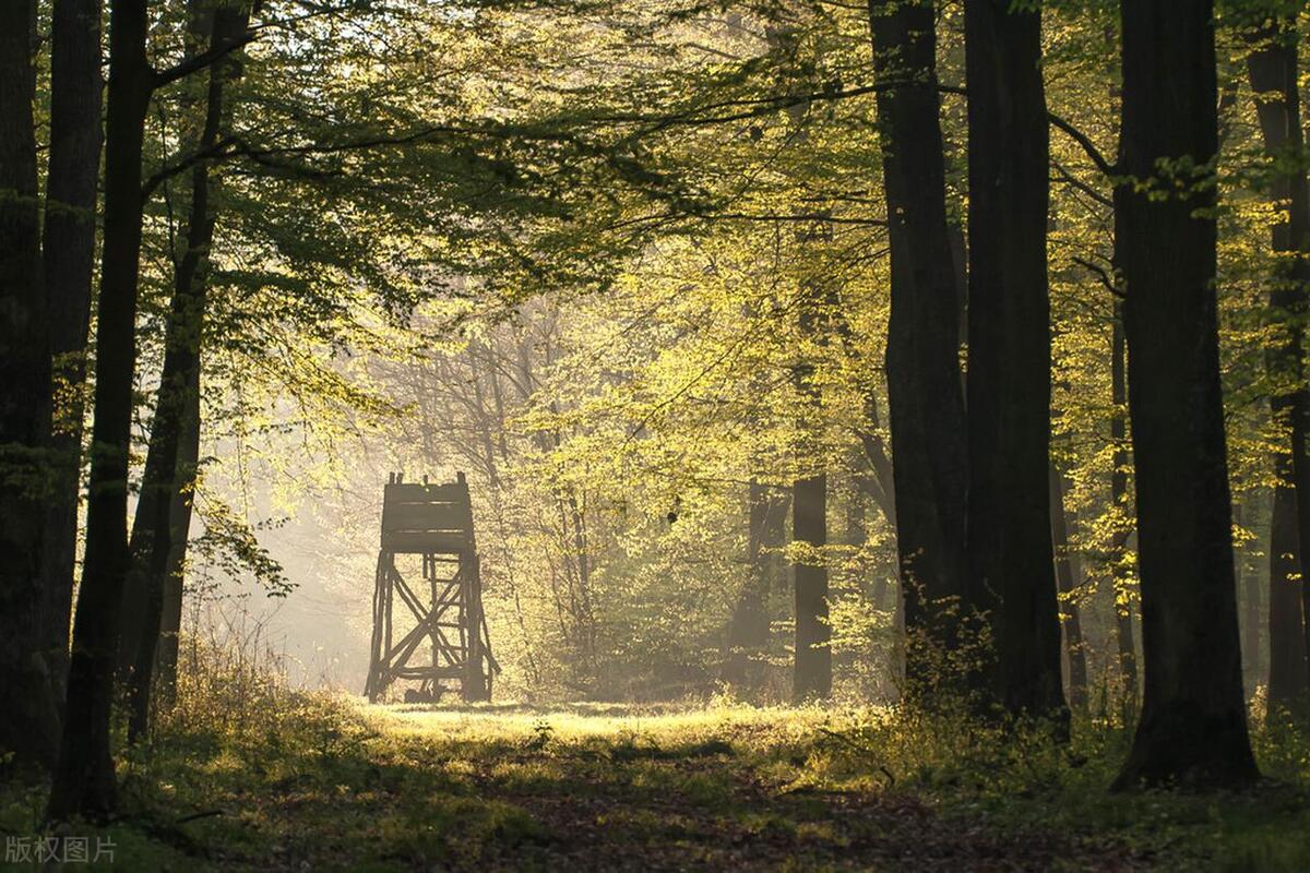 【旺道商弈】企业运营：健康食品行业如何做网络营销推广？