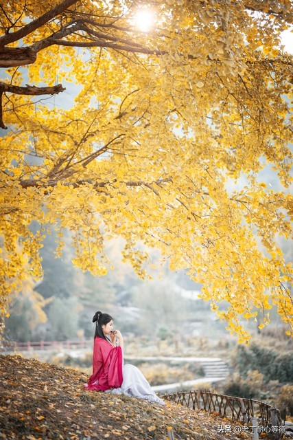 如果有人讨厌你记住四句话,如果有人讨厌你你该怎么返回