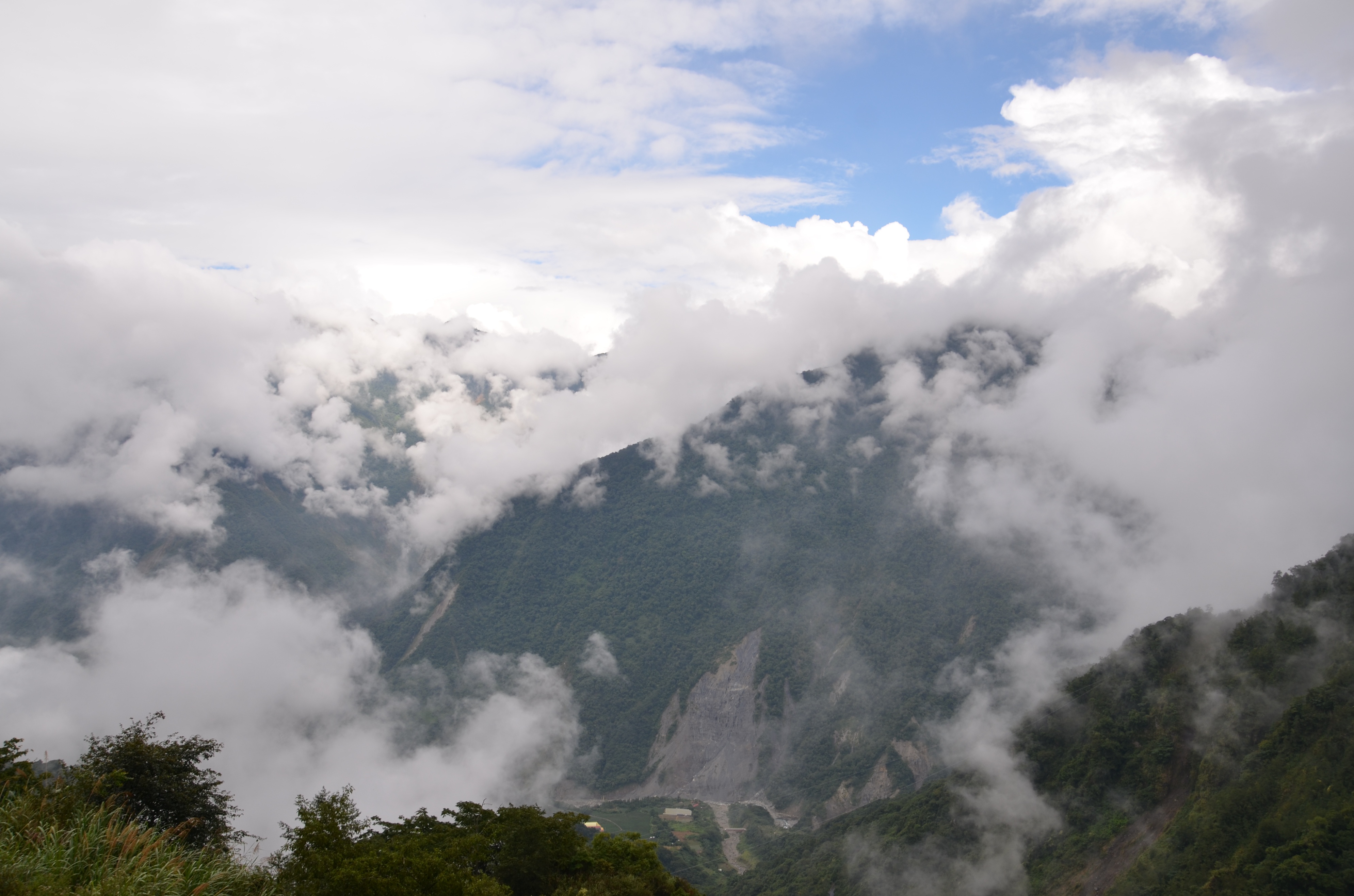 台湾阿里山古树,台湾阿里山景区
