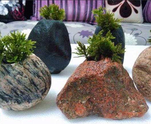 最漂亮的石头花盆,奇形怪异石头花盆