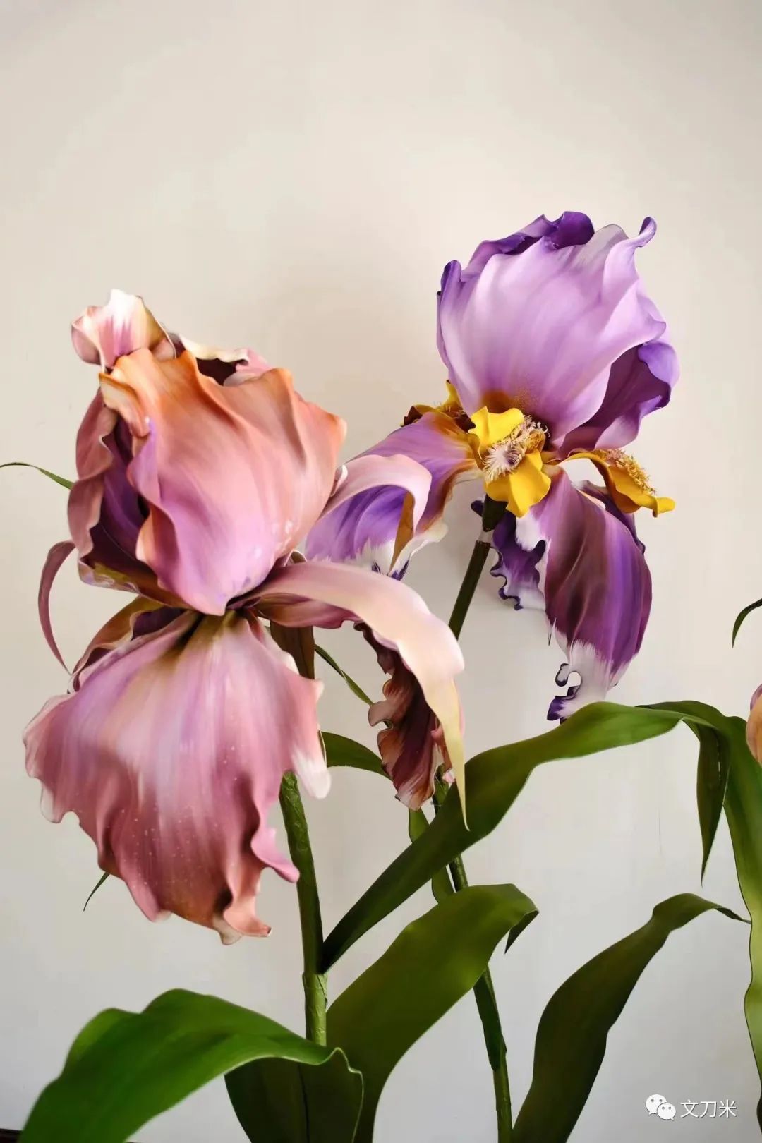 34岁转行即火|大品牌、明星争相找这位新手做花