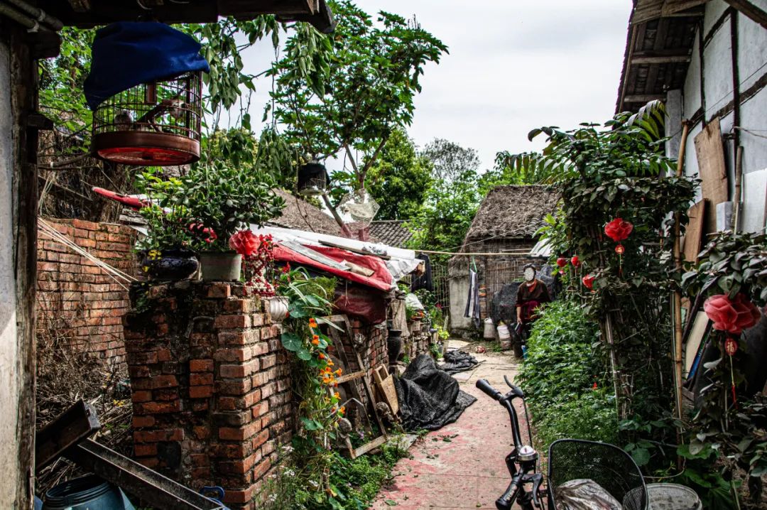 成都安乐村,成都安乐乡安乐村