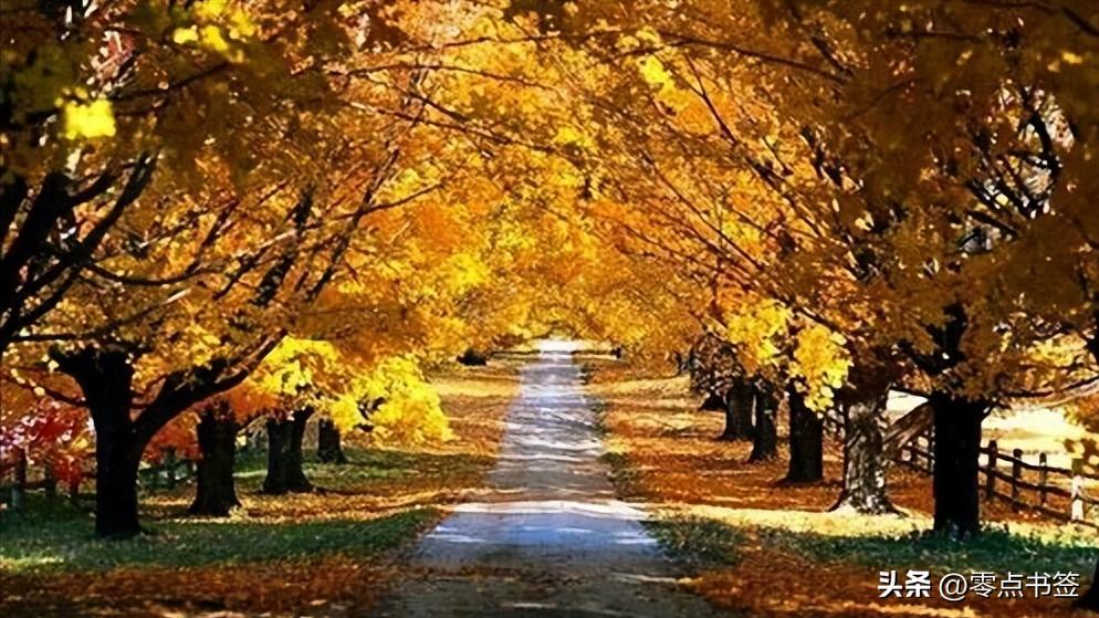 富有了要低调不可狂妄,真正富有的人都很低调