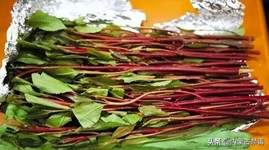 年味渐浓年临近年货咋置办,临近年关了买什么年货更火